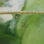 Natural Image (Wealthy ) by Lee,Young soo