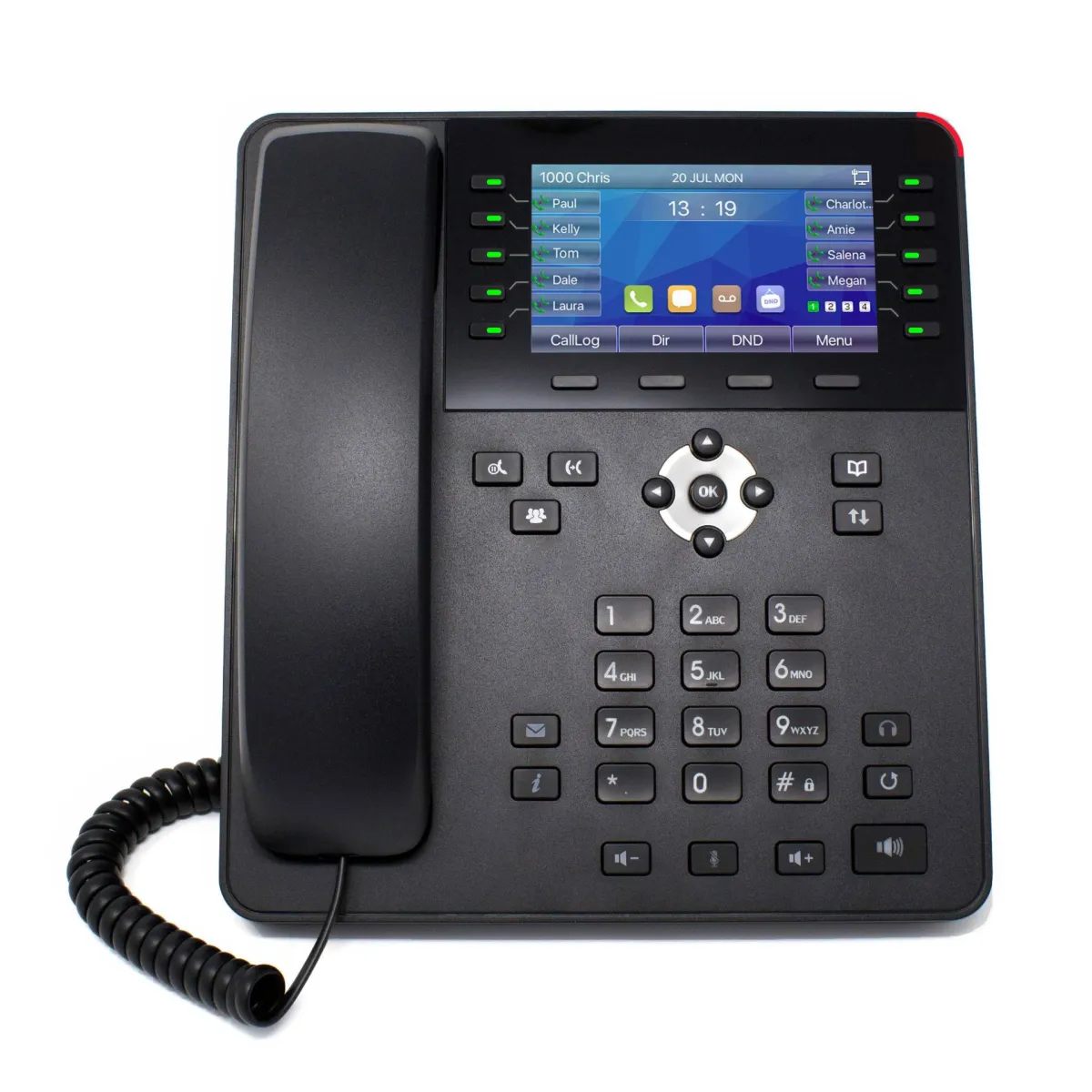 D40 Professional IP Handset