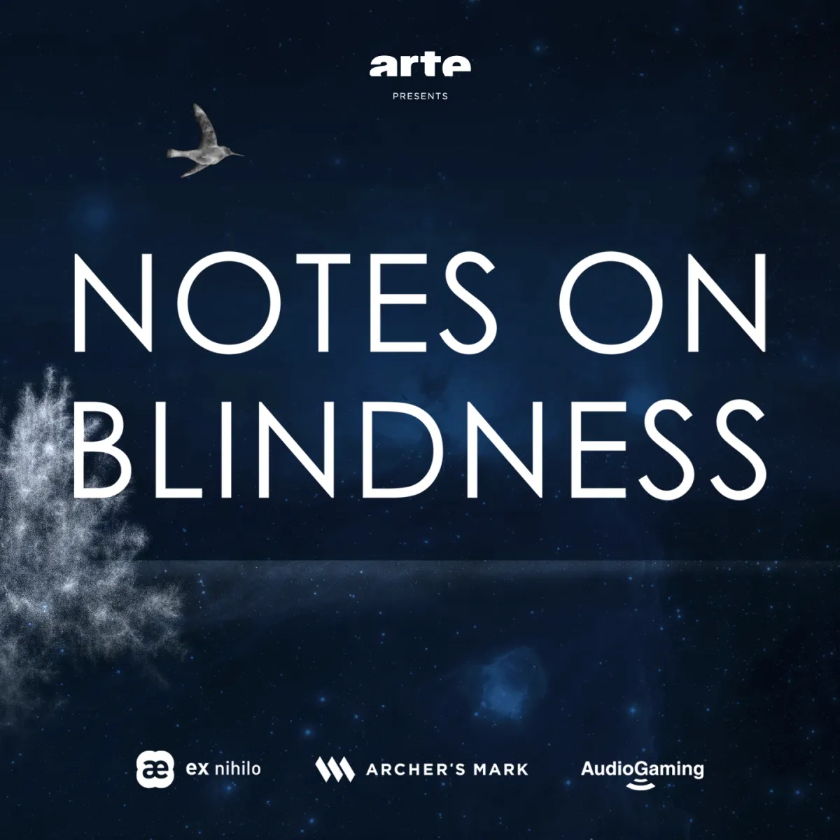 NOTES ON BLINDNESS