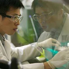 Next Generation Sequencing Services