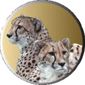 Solution pour la gestion des cautionnements