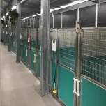 Mason on the Floor Sani-Kennel