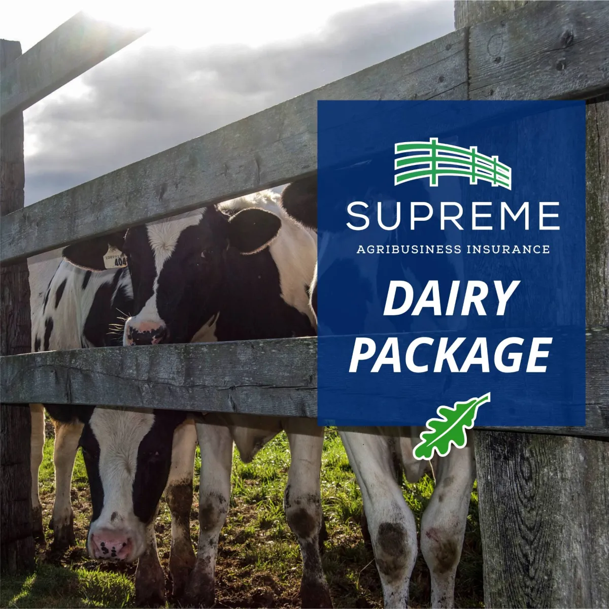 Dairy Farm Insurance Package - Highlights
