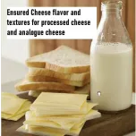 Cheese and Dairy powder