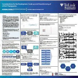 Considerations for the Development, Scale-up and Manufacturing of mRNA Therapeutics