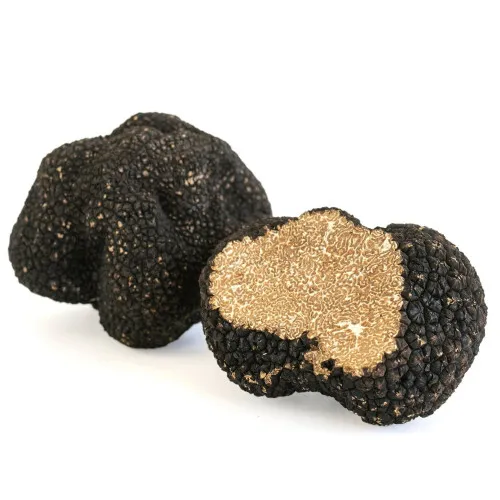 Fresh Autumn Truffle (Tuber Uncinatum)