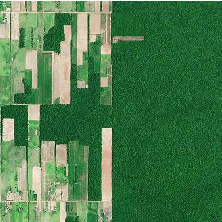 Anthropocene - The Rise of Humans