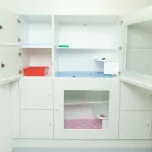 Therian Luxury Cat Condo