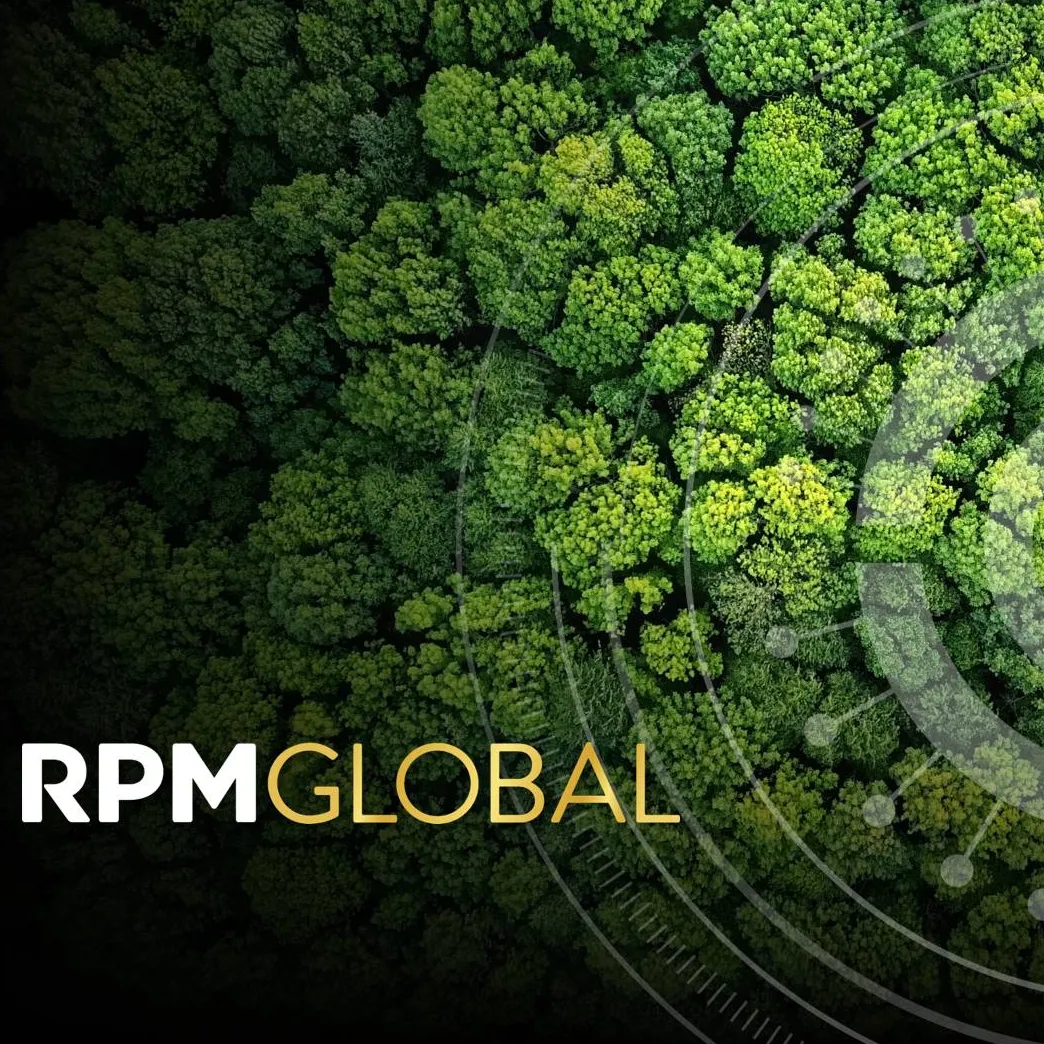 RPM Perspective - DEMYSTIFYING ENVIRONMENTAL AND SOCIAL PERFORMANCE