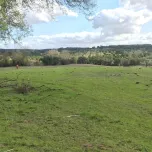 Property with 42 ha in Alentejo