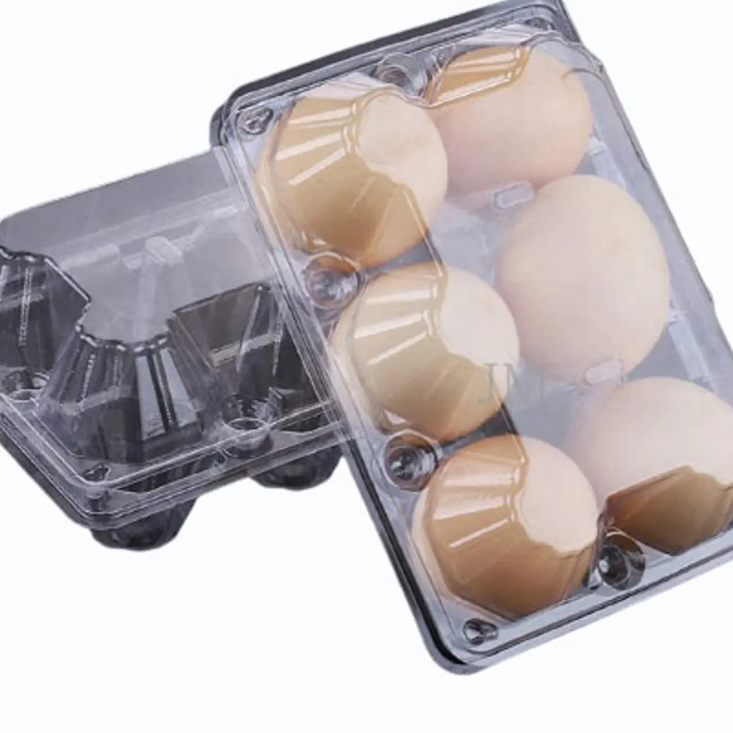 Egg Trays