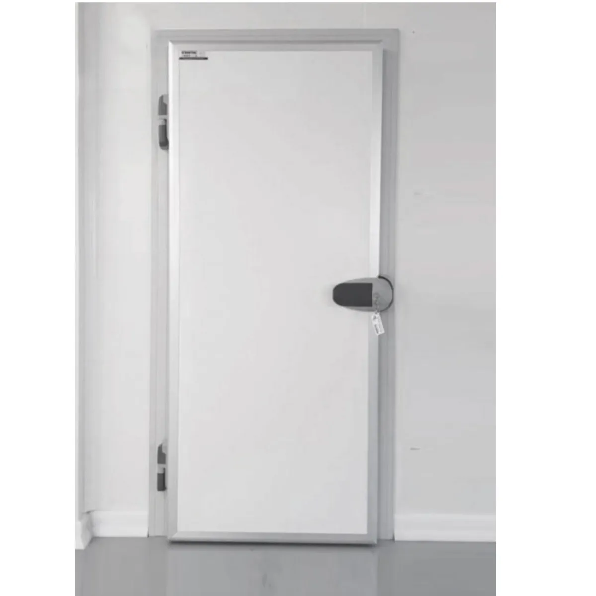 PORTE PIVOTANTE ISOTHERME E-BOREALE POSITIVE