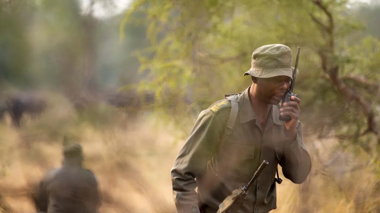 Pre-release Screening: RHINO MAN