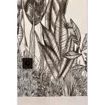 Medical Practice, Cannes