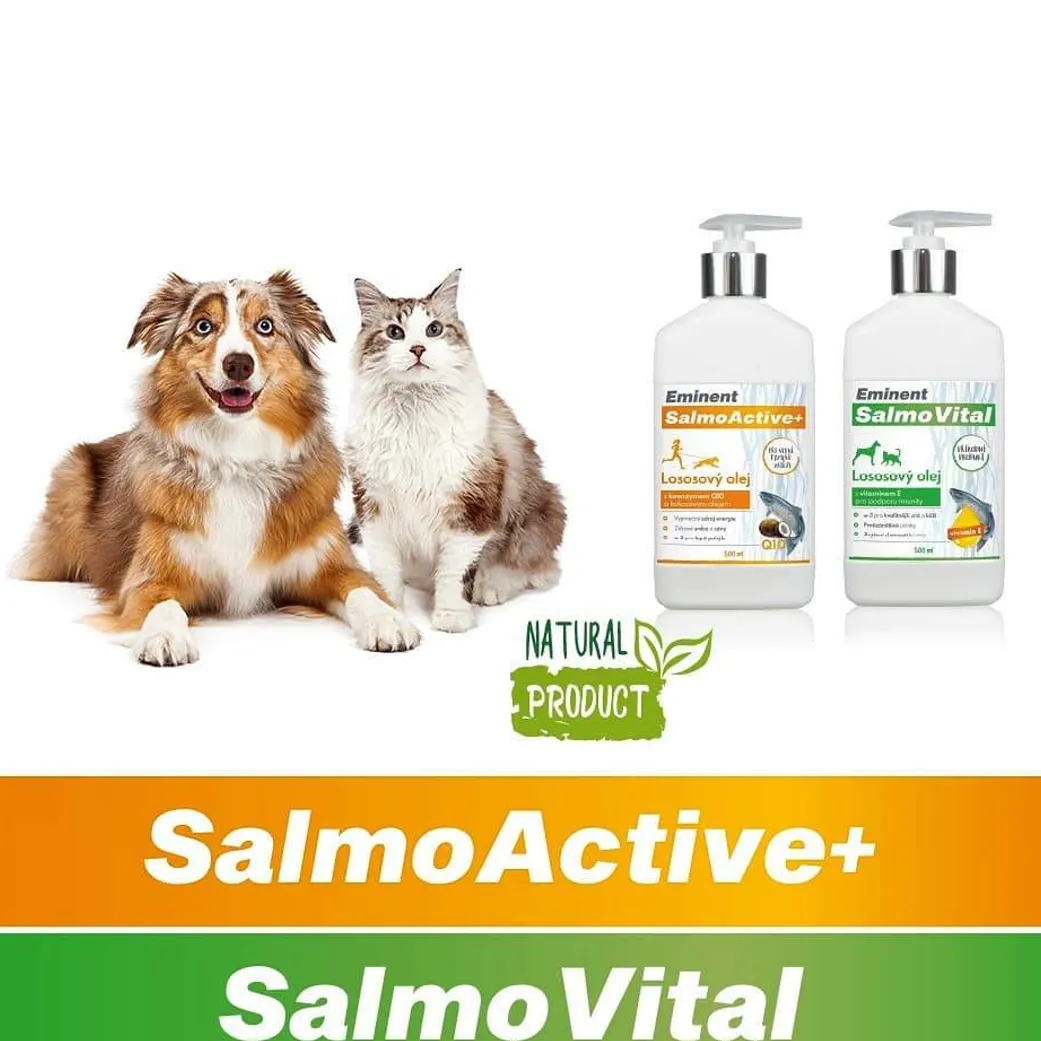Salmon oils for pets