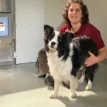 HOW CATS AND DOGS CONQUERED THE WORLD 2x52' 4K - a One Planet and Arte co-production