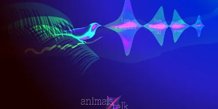 Animals talk