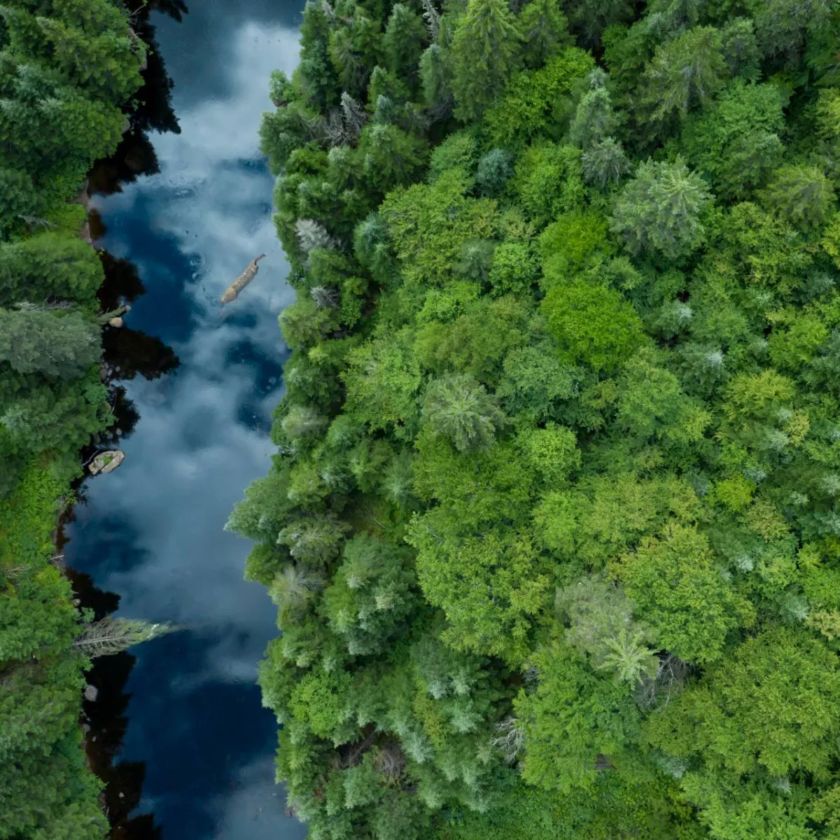 Responsible Investing: BMO Global Asset Management