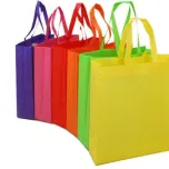 Non Woven Bags