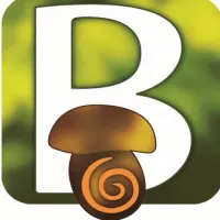 MAISON BONTOUT
