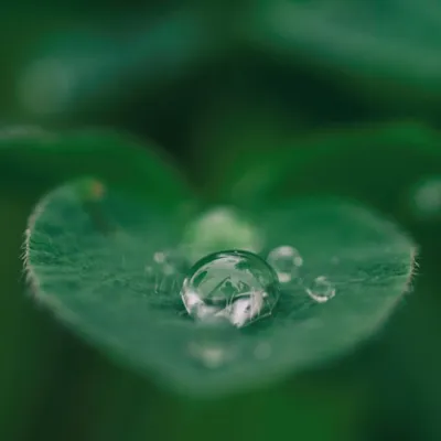 Carbon unit procurement strategy