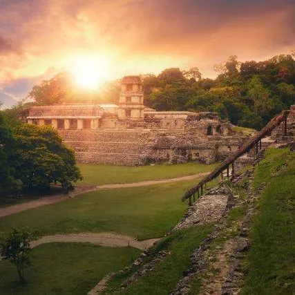 THE LAST SECRETS OF THE MAYA 52' 90' 4K - a One Planet and CNRS co-production for France 5