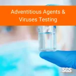 Biosafety Testing For Biopharmaceuticals