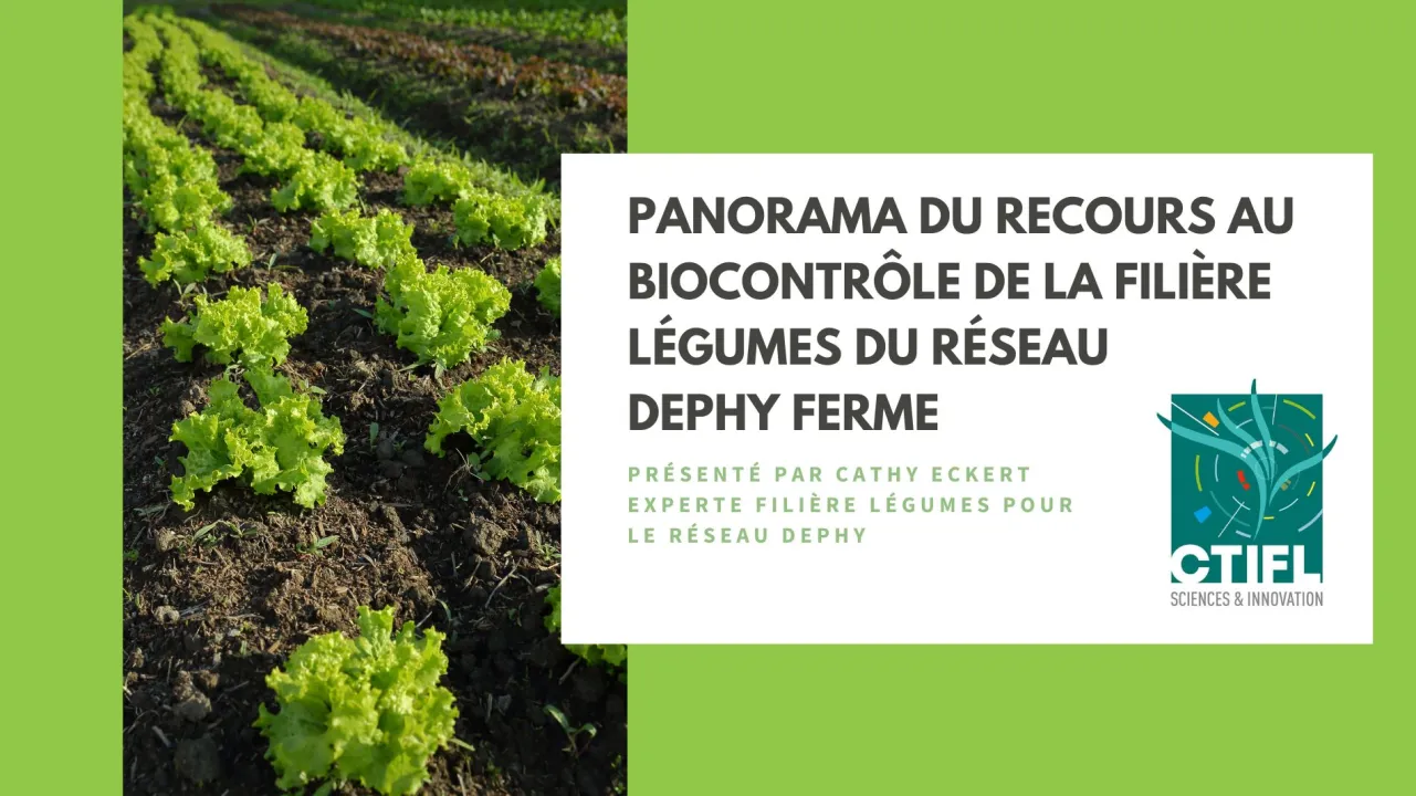 Overview of biocontrol use in the vegetable branch within the DEPHY FERME network