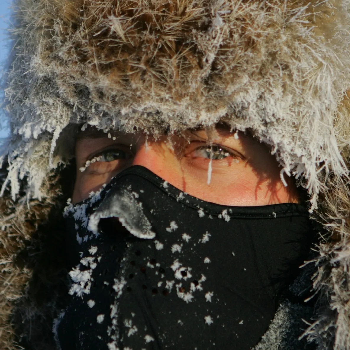 The Call of the North