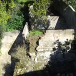 Building with approved project