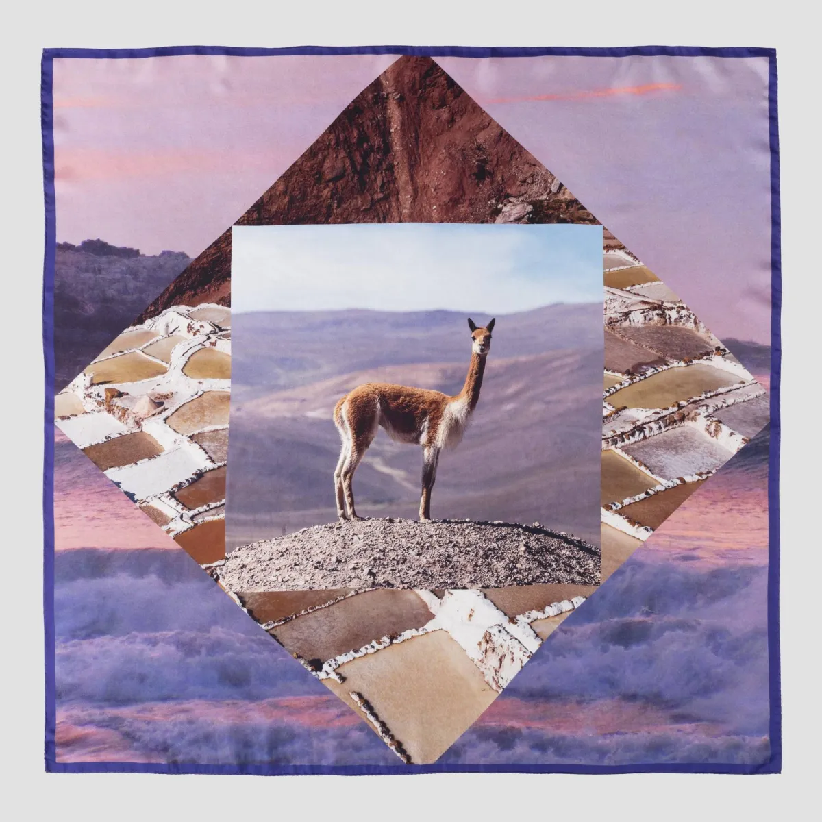 Printed Vicuña Silk Foulard