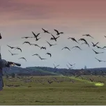 Agrilaser Handheld 500