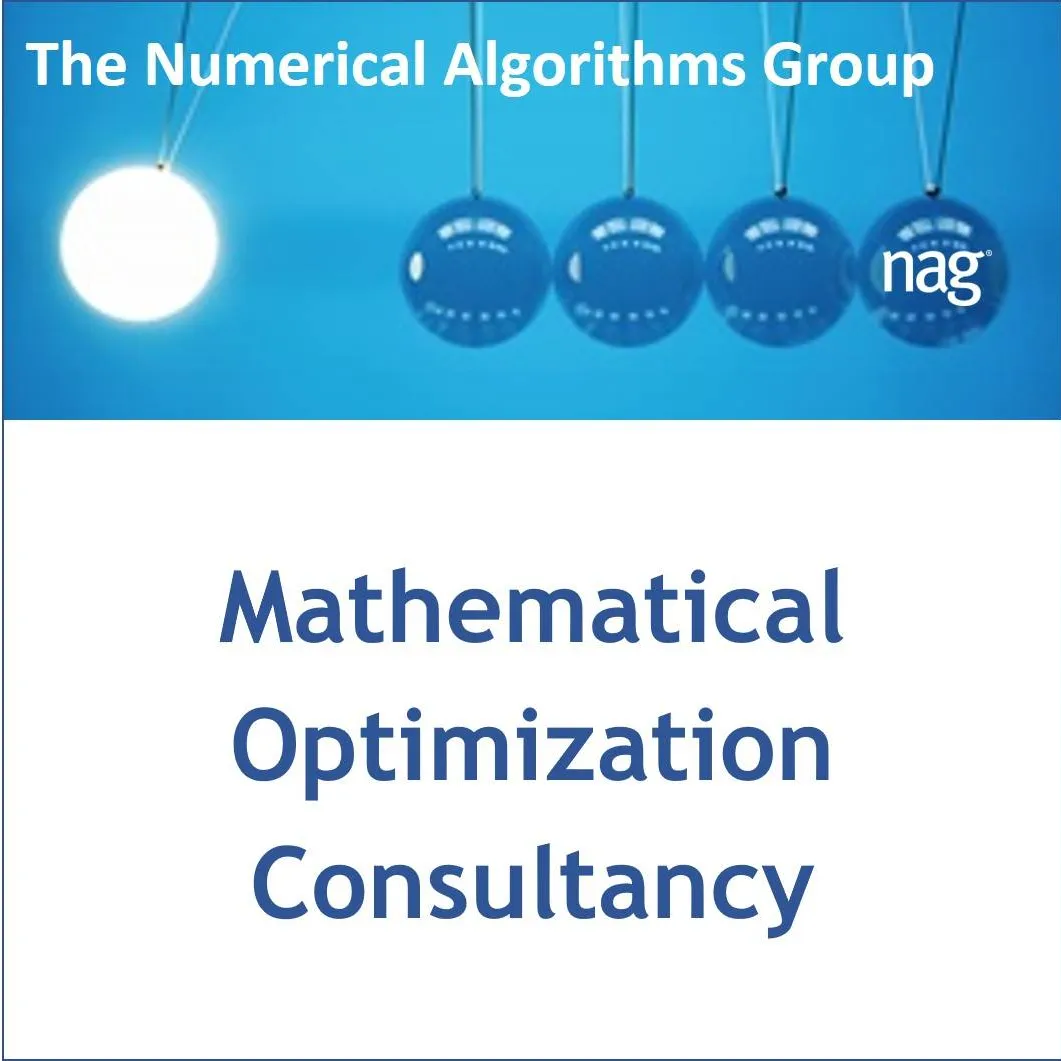 Mathematical Optimization Consultancy