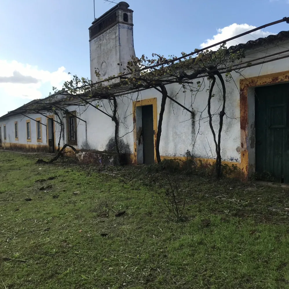 Property with 42 ha in Alentejo