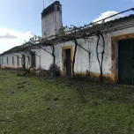 Property with 42 ha in Alentejo