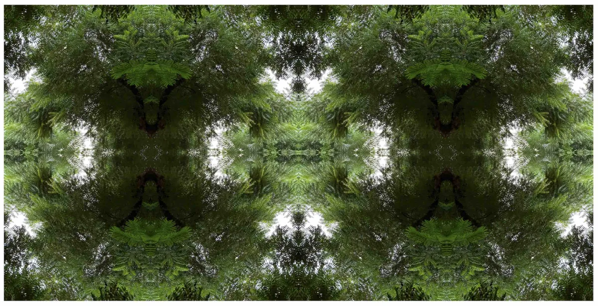 See the forest for the trees