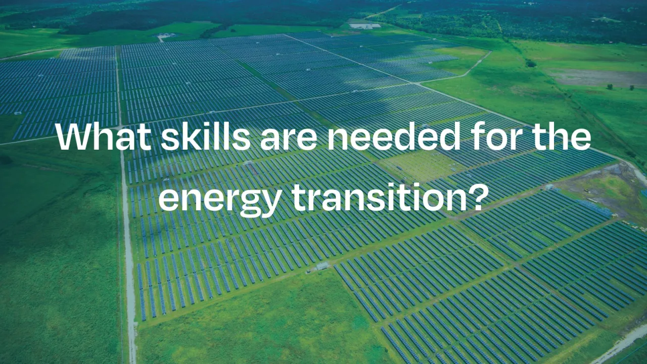 What skills are needed for the energy transition?