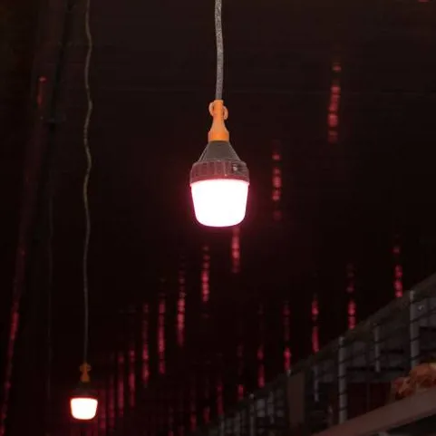 Once Animal-centric LED Lighting