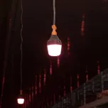 Once Animal-centric LED Lighting