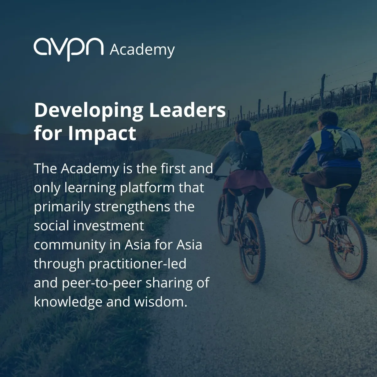 AVPN Academy