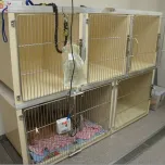 Mason Fibreglass Cages