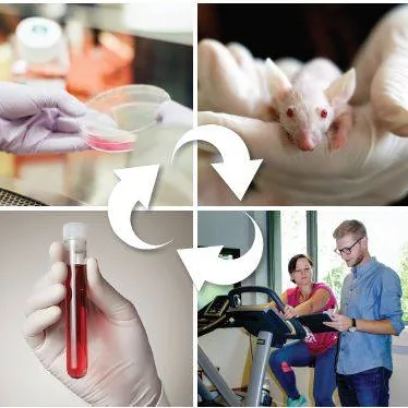 Multiple Sclerosis research in vitro-to-patient toolbox