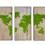 Tableau végétal stabilisé