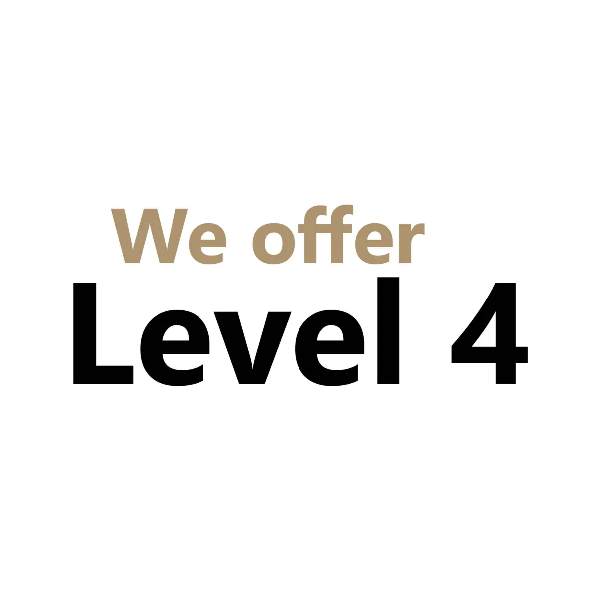 Level 4 Programme