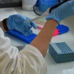 Innovation et qualité