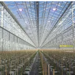 Eclairage jeunes plants et semences