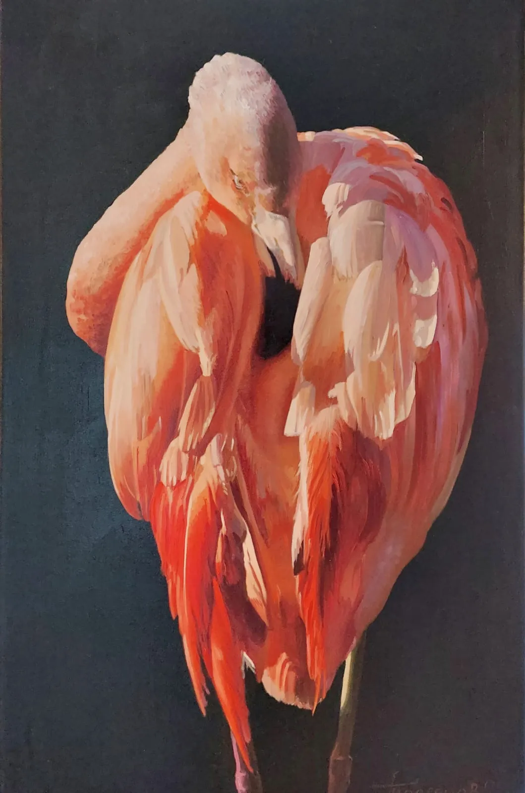 Sergey Teplyakov "Flamingo"