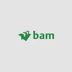 MSite BAM case study