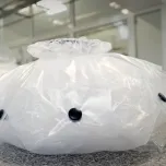 CSV Containment - Continuous Liner