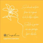 CAMPIDIVINI | IL CORNIOLO | TOSCANA IGP BIO 2018